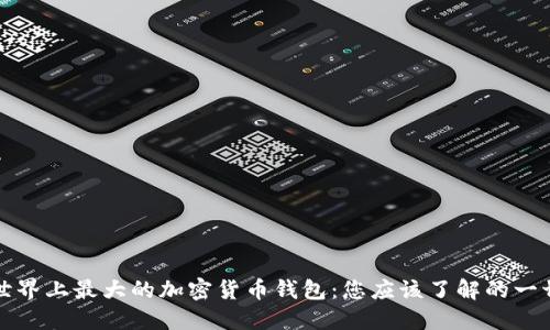 世界上最大的加密货币钱包：您应该了解的一切