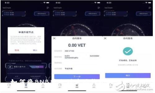 如何将BNB转账到波场钱包的详细指南
