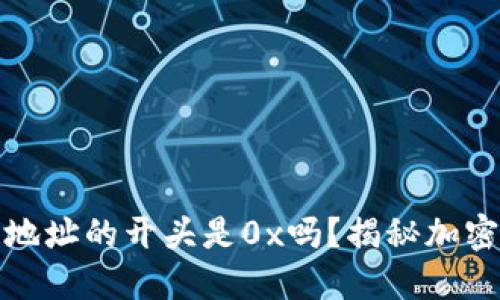 加密货币钱包地址的开头是0x吗？揭秘加密货币地址构成