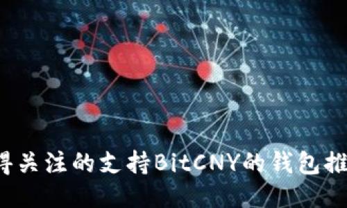 2023年最值得关注的支持BitCNY的钱包推荐及使用指南
