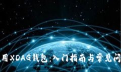 :如何使用XDAG钱包：入门指