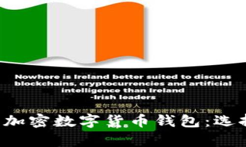 全面解析中国的加密数字货币钱包：选择、使用与安全性