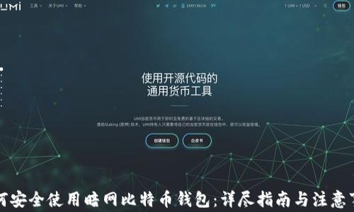
如何安全使用暗网比特币钱包：详尽指南与注意事项
