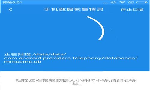 狗狗币钱包与网络同步详解：如何有效管理你的数字资产
