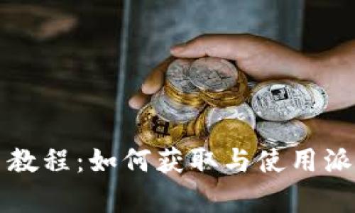 全面解析派币教程：如何获取与使用派币的详细指南