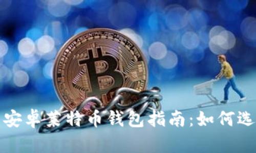 最全面的安卓莱特币钱包指南：如何选择与使用