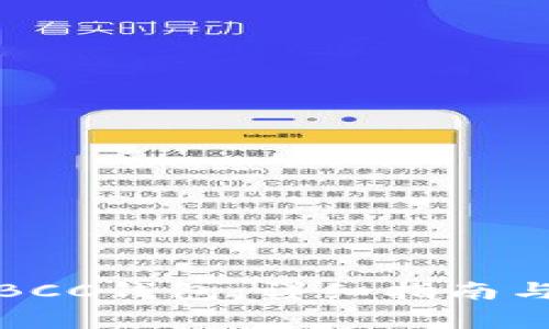 如何安全备份BCC钱包：详细指南与常见问题解答