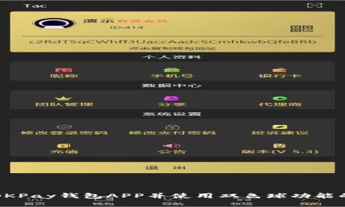 如何安装OKPay钱包APP并使用双色球功能的详细指南