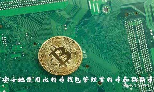 如何安全地使用比特币钱包管理莱特币和狗狗币资产