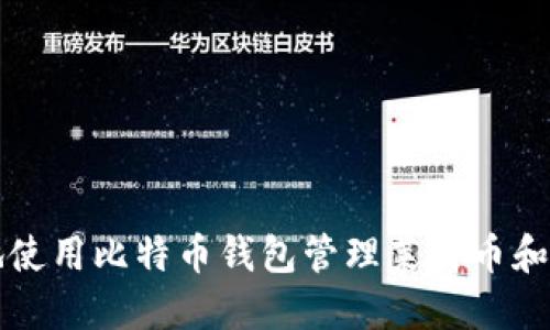 如何安全地使用比特币钱包管理莱特币和狗狗币资产