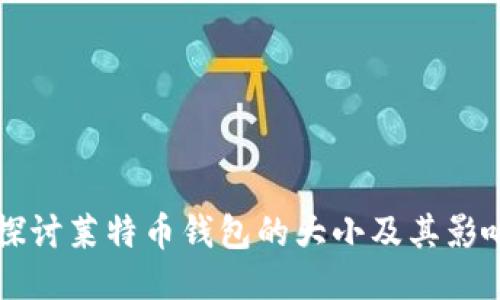 深入探讨莱特币钱包的大小及其影响因素