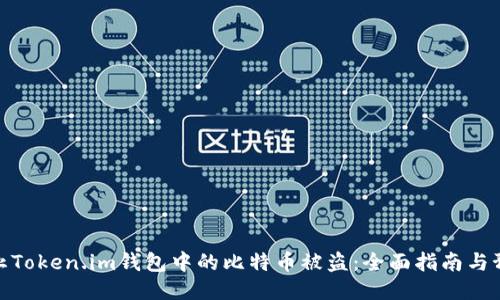 如何防止Token.im钱包中的比特币被盗：全面指南与预防措施
