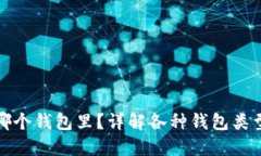 加密货币放哪个钱包里？详解各种钱包类型及选