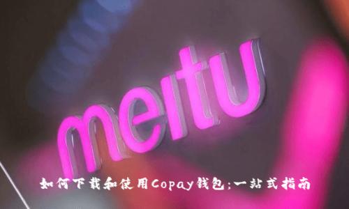 如何下载和使用Copay钱包：一站式指南