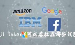 BTM（BitMall Token）可以存放在哪些钱包？全面指南