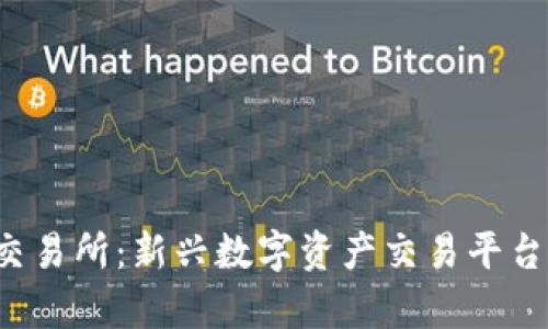 Bitcoke交易所：新兴数字资产交易平台全面解析