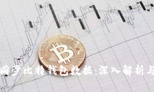 如何高效同步比特钱包数据：深入解析与问题解答