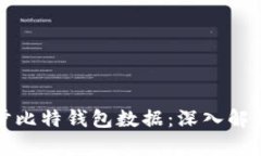 如何高效同步比特钱包数