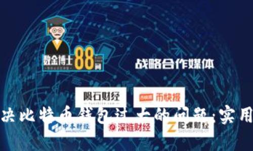 如何有效解决比特币钱包过大的问题：实用技巧与策略