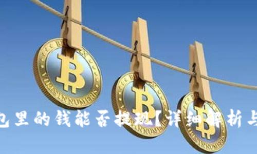 Gopay钱包里的钱能否提现？详细解析与操作指南