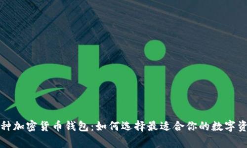 掌握多种加密货币钱包：如何选择最适合你的数字资产管家