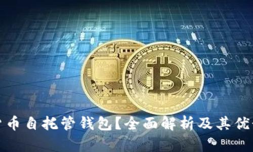 什么是加密货币自托管钱包？全面解析及其优势与使用技巧